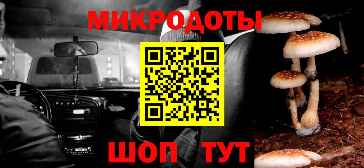 Псилоцибиновые грибы Magic Shrooms  Псилоцибиновые грибы мухоморы  Ставрополь  Вход с VPN 