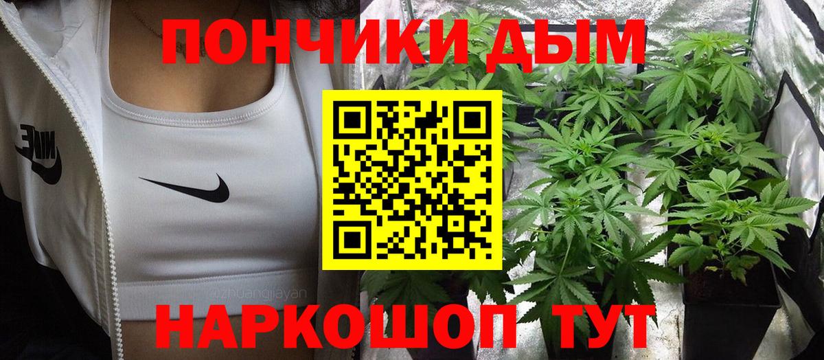Ставрополь  Конопля Bruce Banner  Шишки марихуана индика  Вход с VPN  Марихуана планчик 
